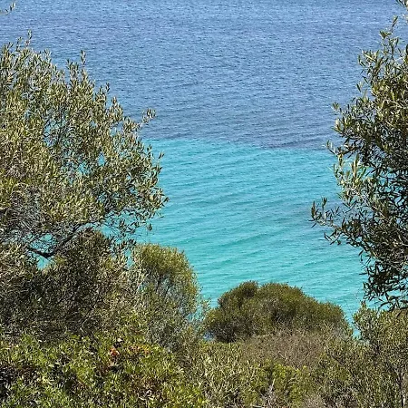 Lägenhet Il Paradiso E Qui *